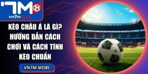 cách tính lợi nhuận kèo châu á - Image 5