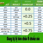 Cách Tính Tỷ Lệ Trả Thưởng Kèo Châu Á: Hướng Dẫn Chi Tiết Từ A-Z Cho Người Mới cách tính tỷ lệ trả thưởng kèo châu á