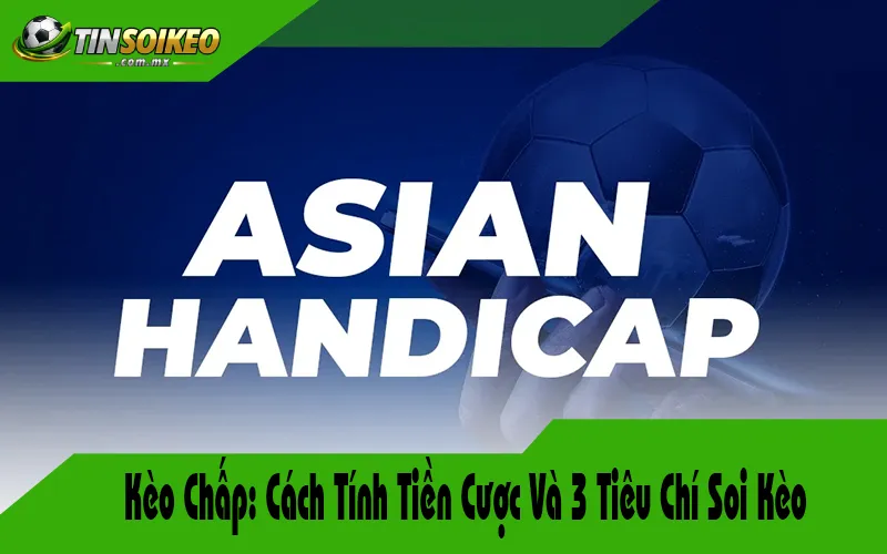 cách tính tỷ lệ trả thưởng kèo châu á - Image 5