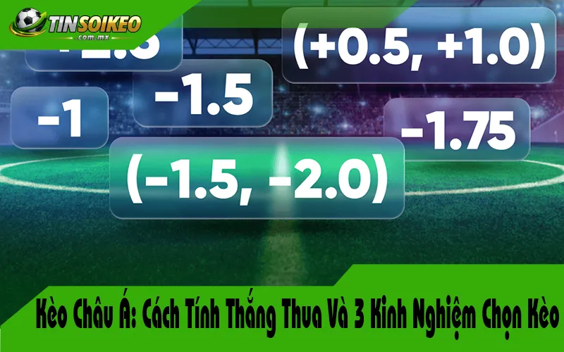 kèo châu á khi đội cửa trên ghi bàn - Image 3