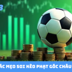 kèo châu á khi trận bị gián đoạn - 5