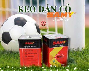 kèo châu á sân cỏ nhân tạo