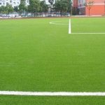 kèo châu á sân cỏ tự nhiên