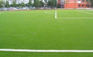 kèo châu á sân cỏ tự nhiên