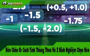 kèo châu á trong trận
